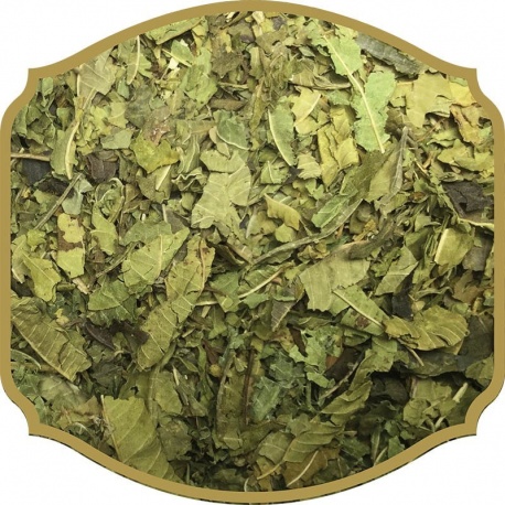 Verbena Herbal Infusion Tea by SHANTEO
