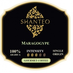 Maragogype Coffee by SHANTEO