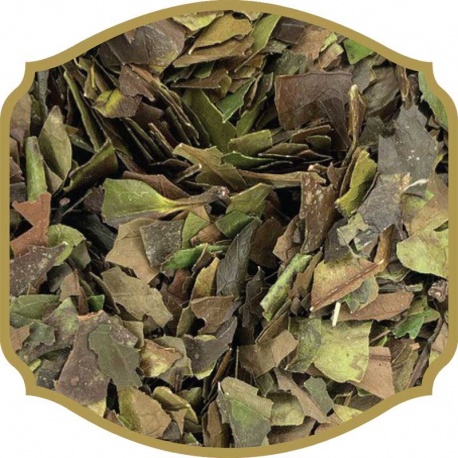 Guayusa Organic Herbal Infusion Tea by SHANTEO